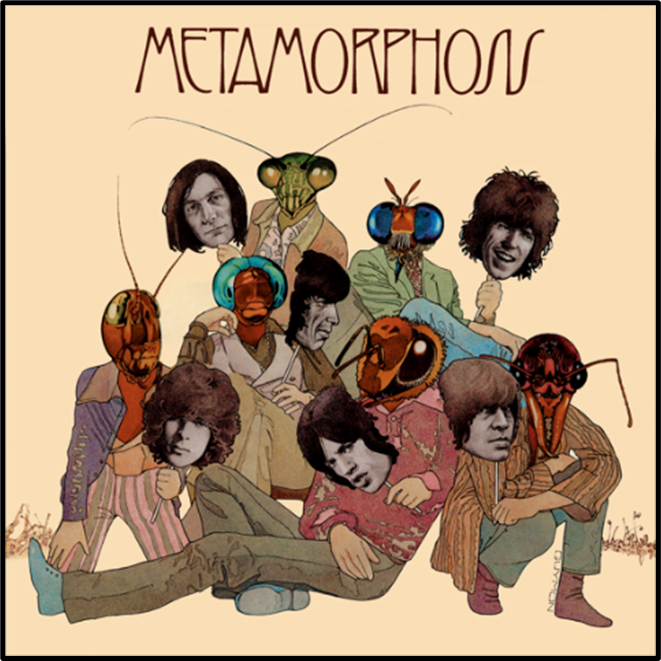 Metamorphosis - Vinilo