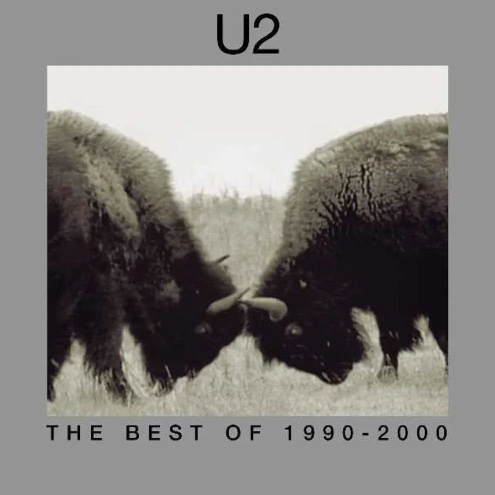 The Best Of 1990-2000 (Remastered 2017) - Vinilo (2LP)
