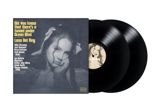 DID YOU KNOW THAT THERE'S A TUNNEL UNDER OCEAN BLVD  - Vinilo (2LP)