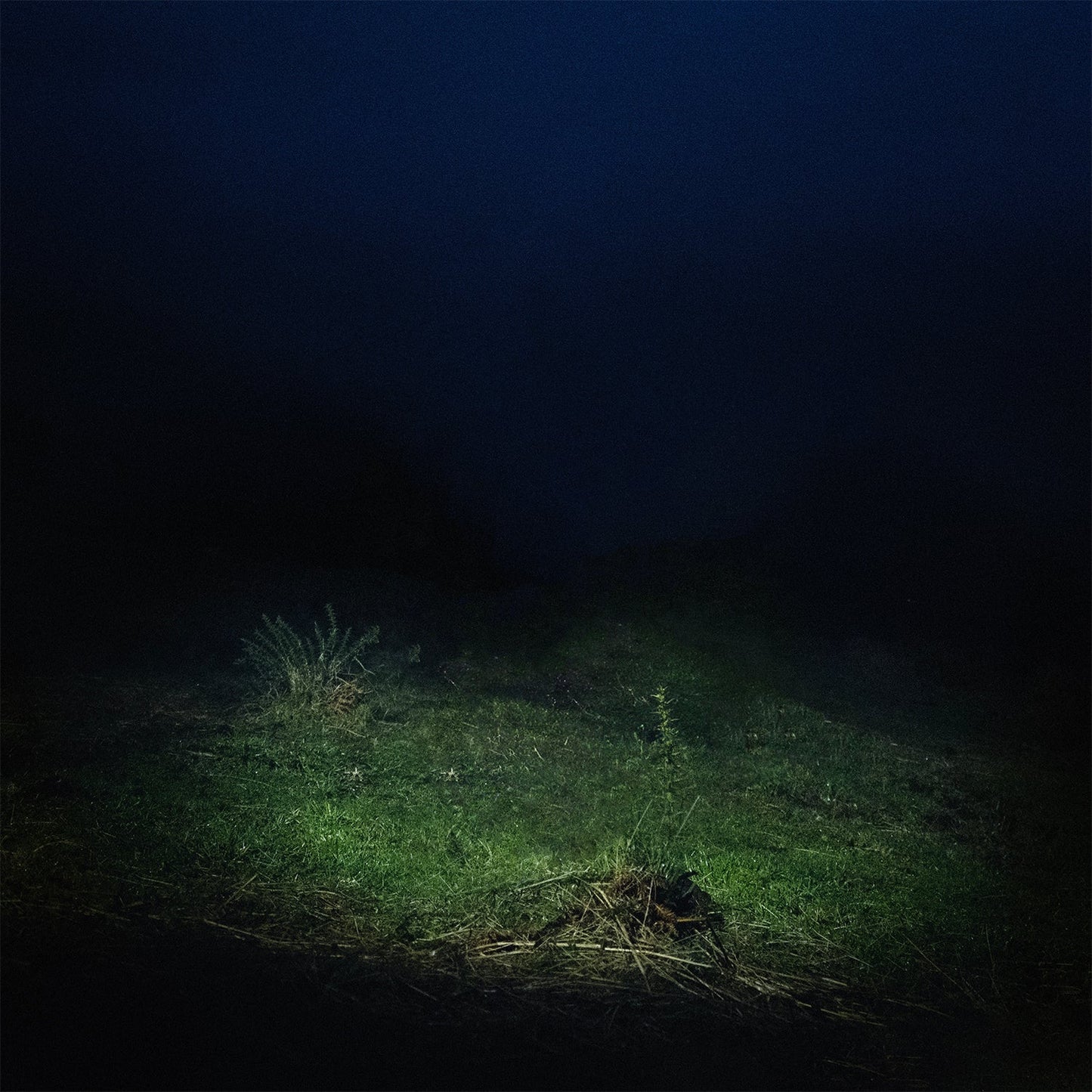 PO2054AZ (Vol.II) - Vinilo (Color Gris 2LP)