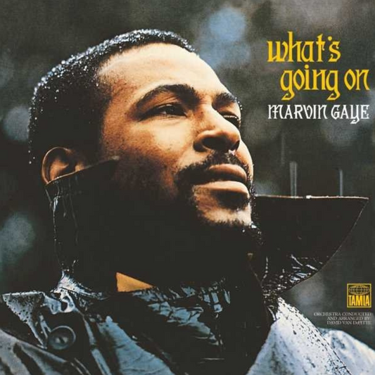 What's Going On - Vinilo
