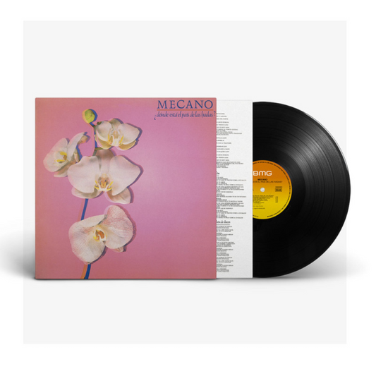 ¿Dónde está el país de las hadas? - Vinilo