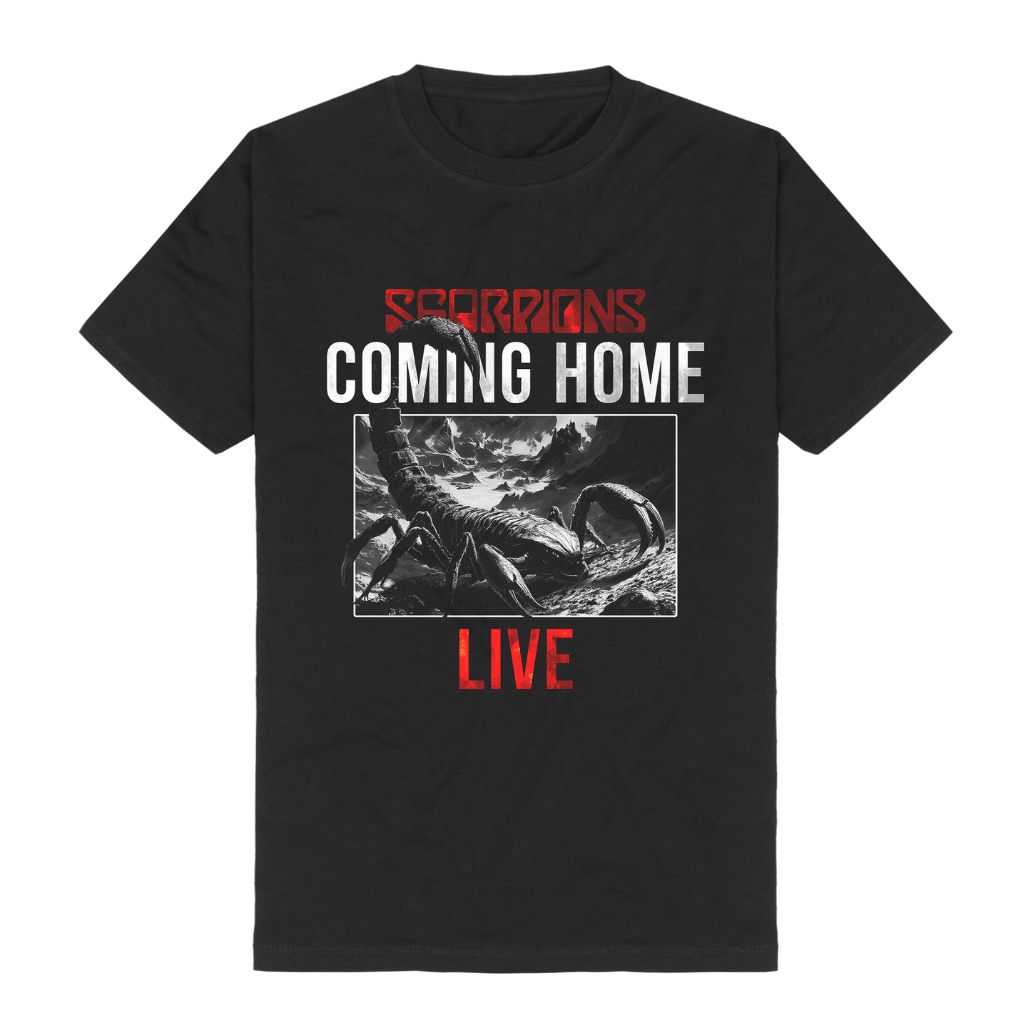 Camiseta Coming Home Live 03