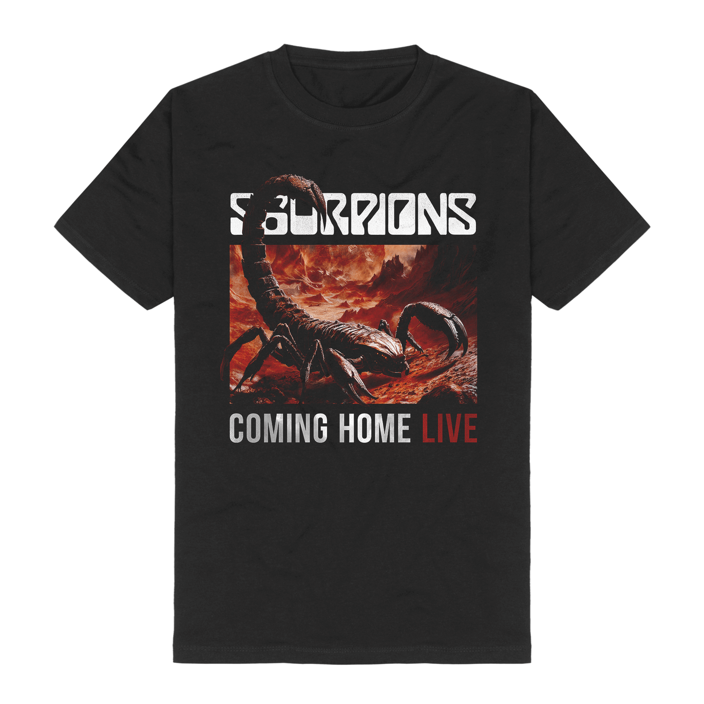 Camiseta Coming Home Live 04