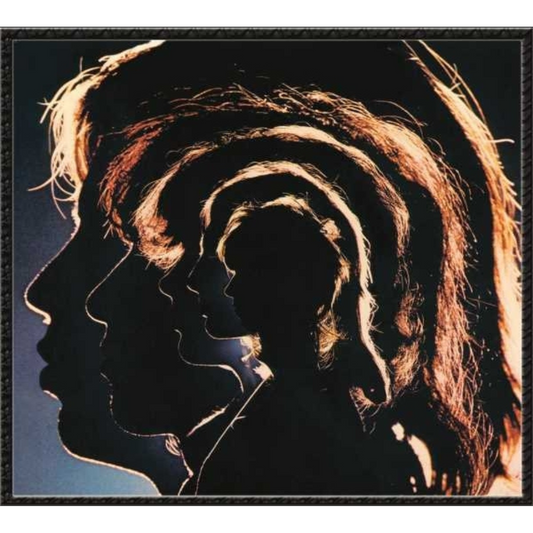 Hot Rocks 1964 - 1971 - Vinilo (2LP)