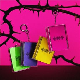 7TH YEAR: A Moment of Stillness in the Thorns (Photocard Case Ver.) - CD